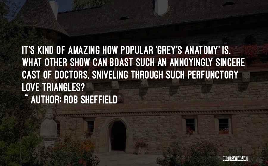 Such Amazing Quotes By Rob Sheffield