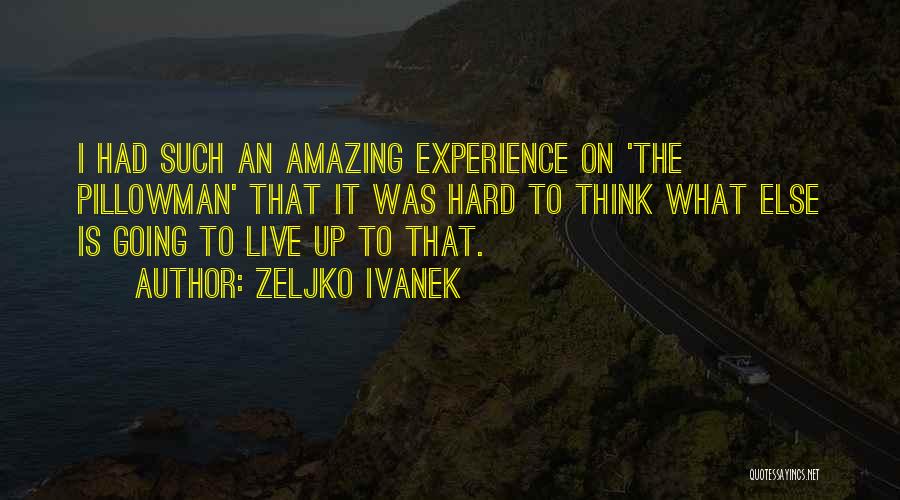 Such Amazing Quotes By Zeljko Ivanek