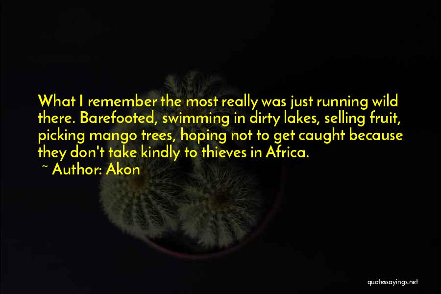 Such Is Mango Quotes By Akon