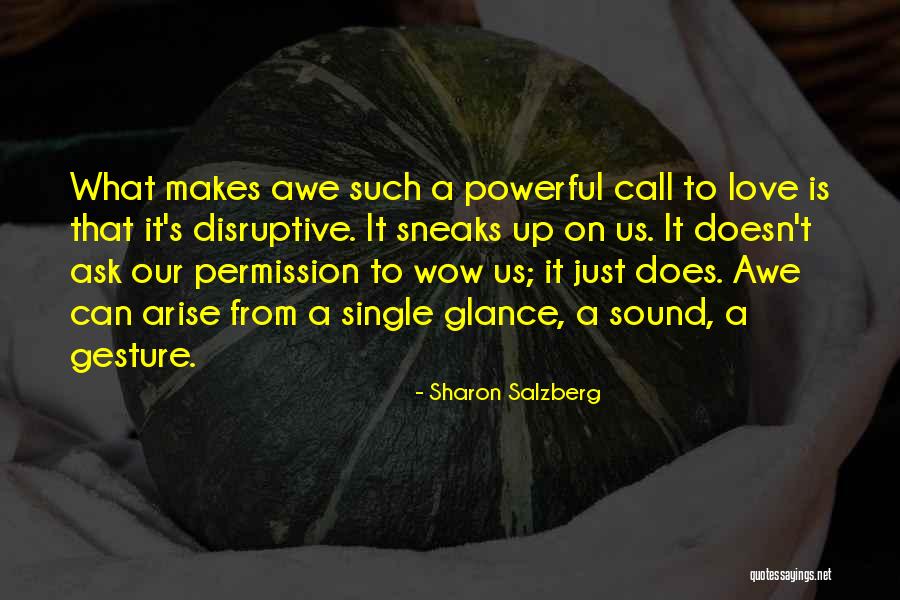 Such Wow Quotes By Sharon Salzberg