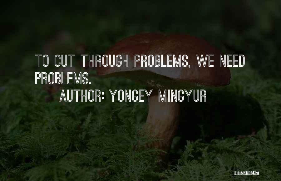 Suchen Perfekt Quotes By Yongey Mingyur