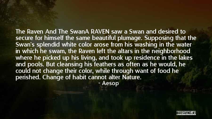 Suchness In Asian Quotes By Aesop Suchness In Asian Quotes By Aesop