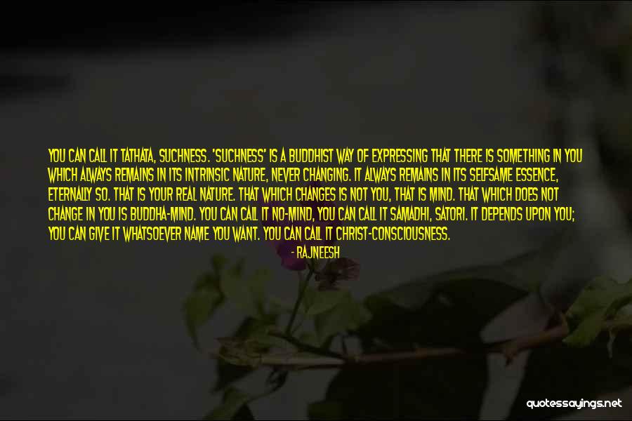 Suchness Is The Buddhist Quotes By Rajneesh Suchness Is The Buddhist Quotes By Rajneesh