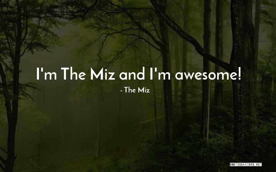 Sucinta Sinonimos Quotes By The Miz Sucinta Sinonimos Quotes By The Miz