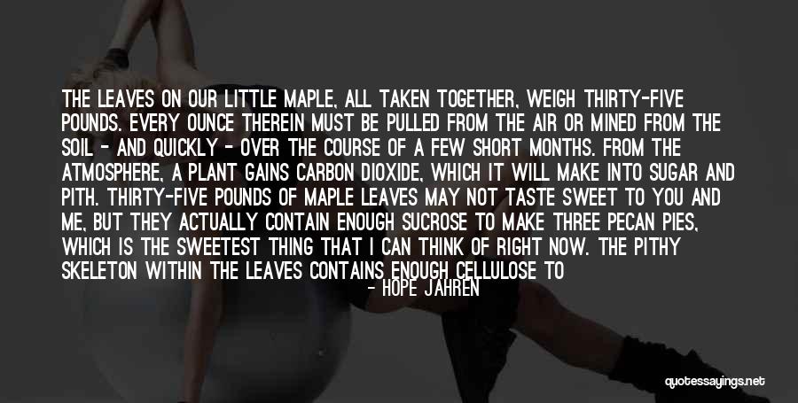 Sucrose Quotes By Hope Jahren Sucrose Quotes By Hope Jahren