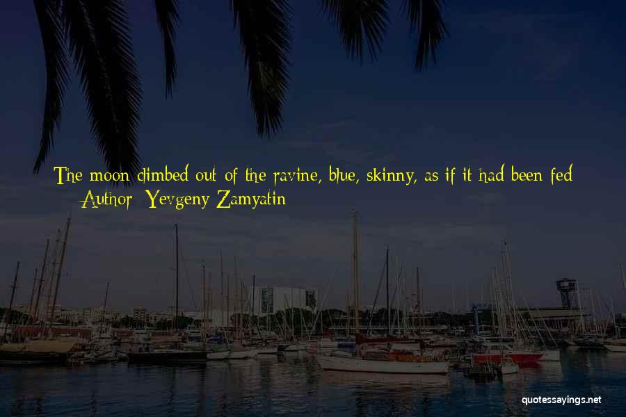 Sudah Biasa Quotes By Yevgeny Zamyatin