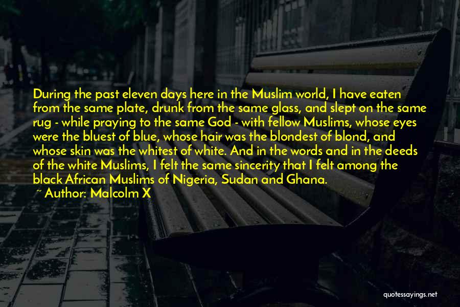 Sudan Quotes By Malcolm X