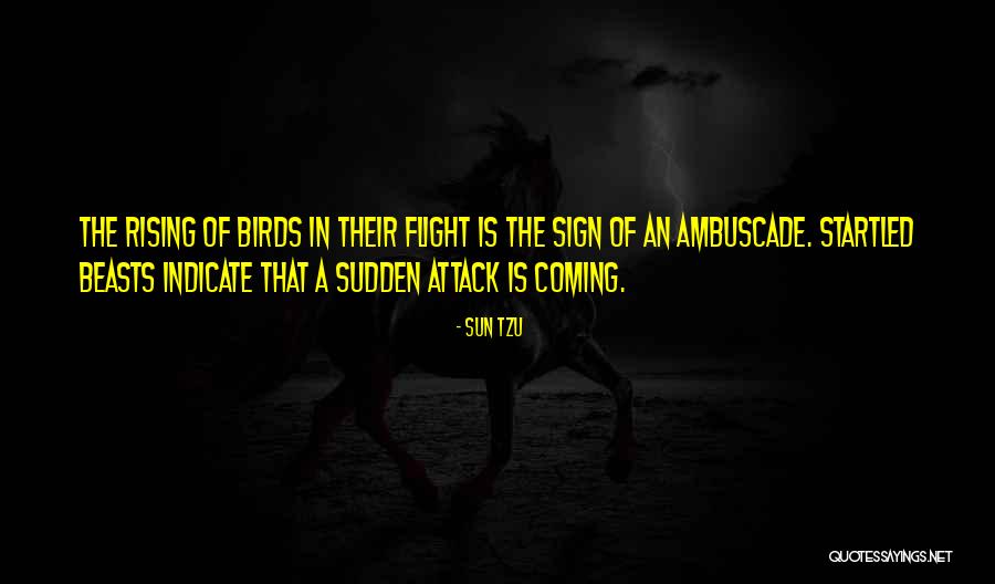 Sudden Attack Quotes By Sun Tzu Sudden Attack Quotes By Sun Tzu