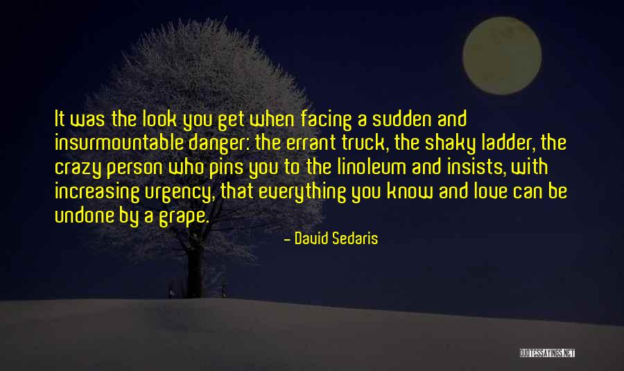 Sudden Love Quotes By David Sedaris