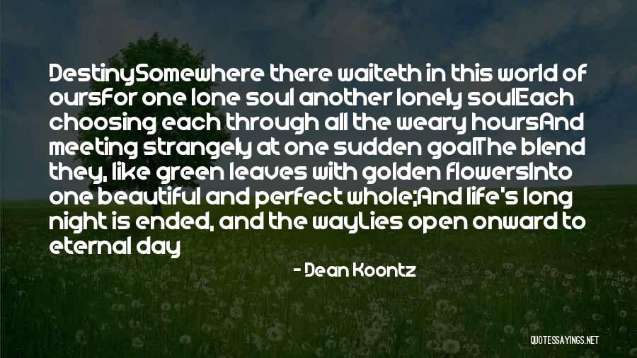 Sudden Meeting Quotes By Dean Koontz Sudden Meeting Quotes By Dean Koontz