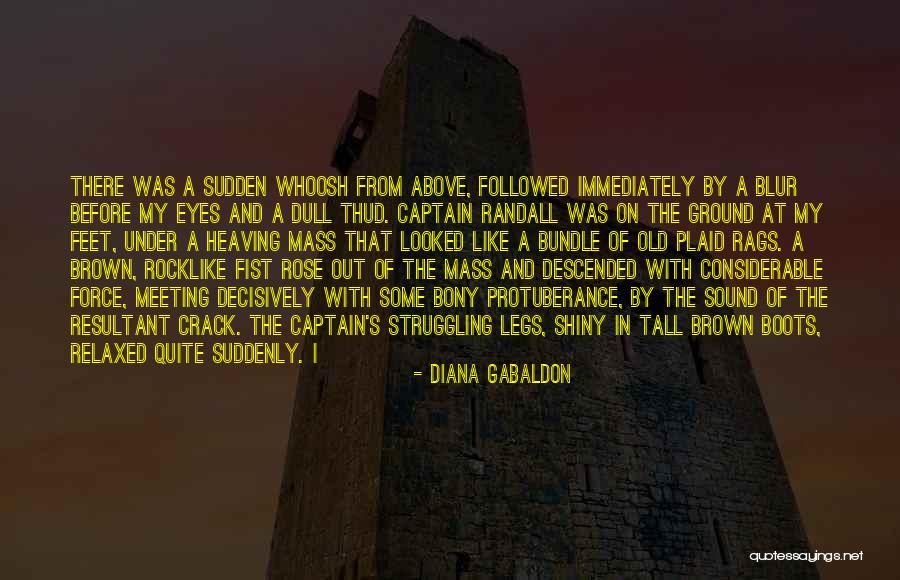 Sudden Meeting Quotes By Diana Gabaldon Sudden Meeting Quotes By Diana Gabaldon