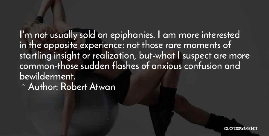 Sudden Realization Quotes By Robert Atwan