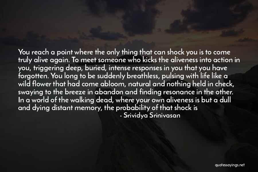 Suddenly Meet Quotes By Srividya Srinivasan Suddenly Meet Quotes By Srividya Srinivasan