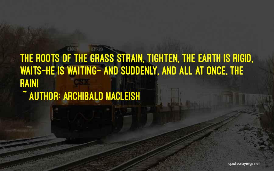 Suddenly Rain Quotes By Archibald MacLeish