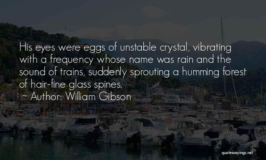 Suddenly Rain Quotes By William Gibson