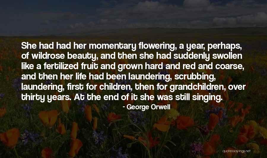 Suddenly Thirty Quotes By George Orwell Suddenly Thirty Quotes By George Orwell
