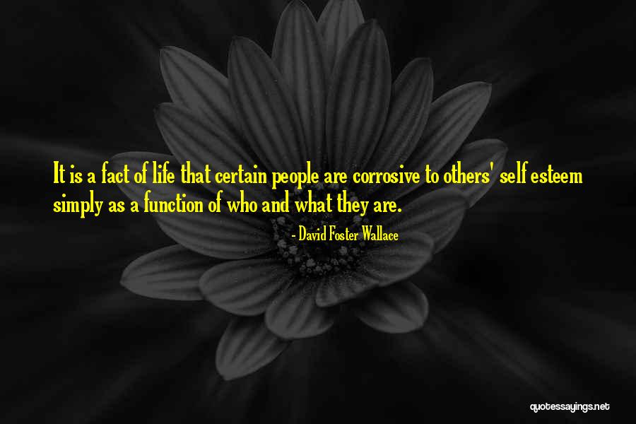 Suddreth Barn Quotes By David Foster Wallace Suddreth Barn Quotes By David Foster Wallace