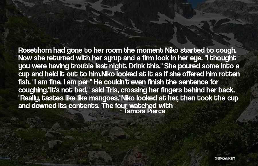 Sudfeld Patriots Quotes By Tamora Pierce Sudfeld Patriots Quotes By Tamora Pierce