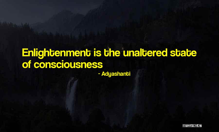 Sue Bird Inspirational Quotes By Adyashanti