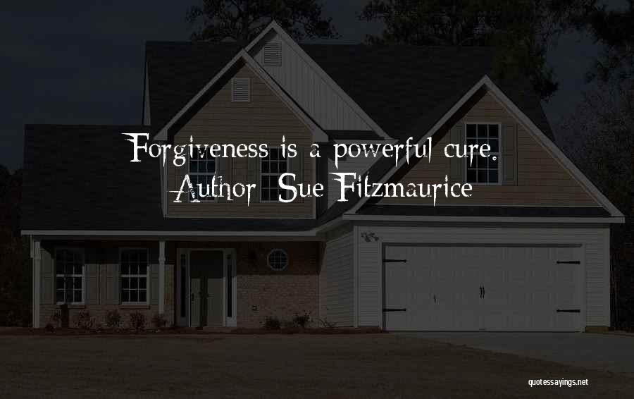 Sue Fitzmaurice Quotes 2257011