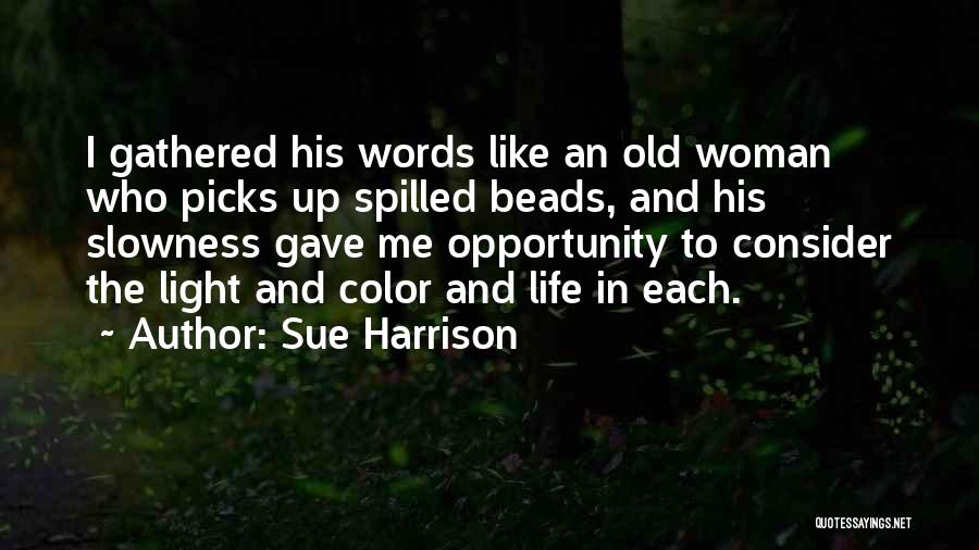 Sue Harrison Quotes 1931965