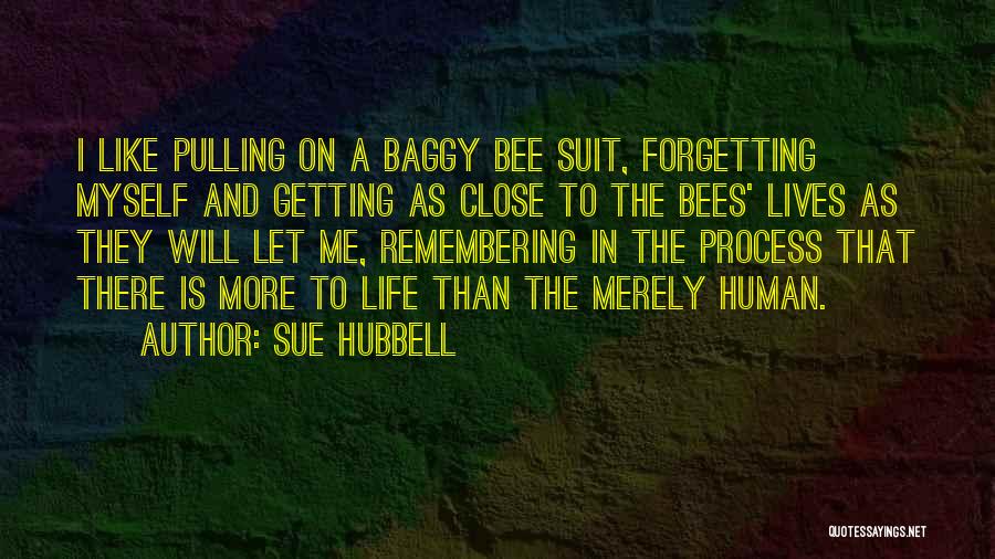 Sue Hubbell Quotes 80178