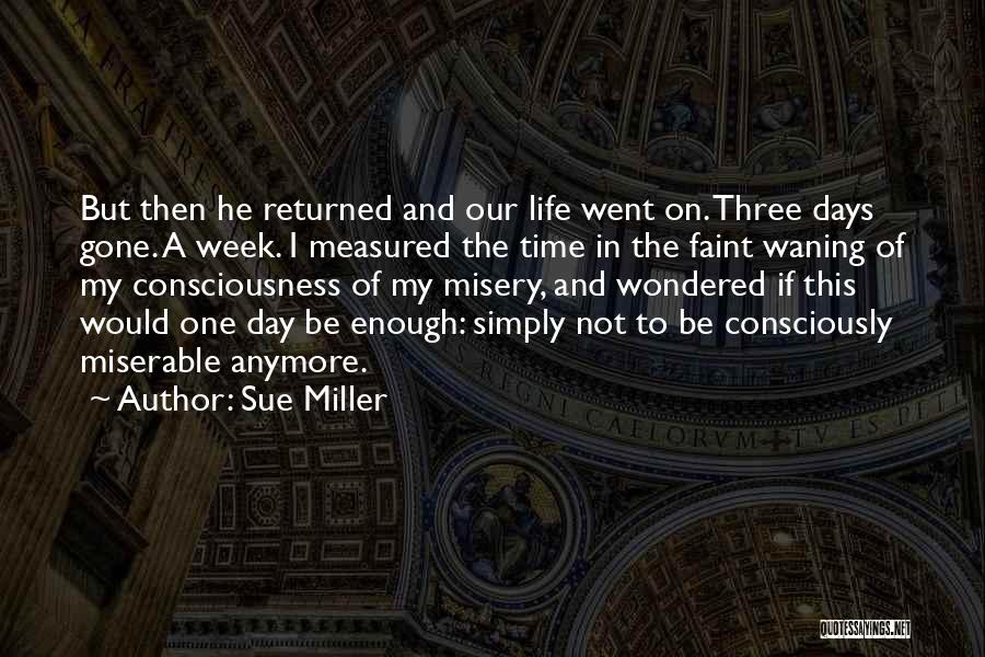 Sue Miller Quotes 891588