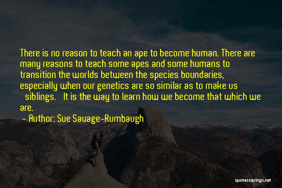 Sue Savage-Rumbaugh Quotes 2218027