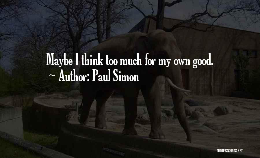 Sue Thomas Fbi Quotes By Paul Simon