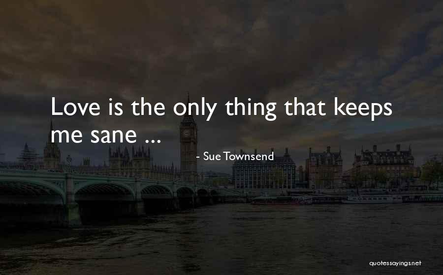 Sue Townsend Quotes 1357649