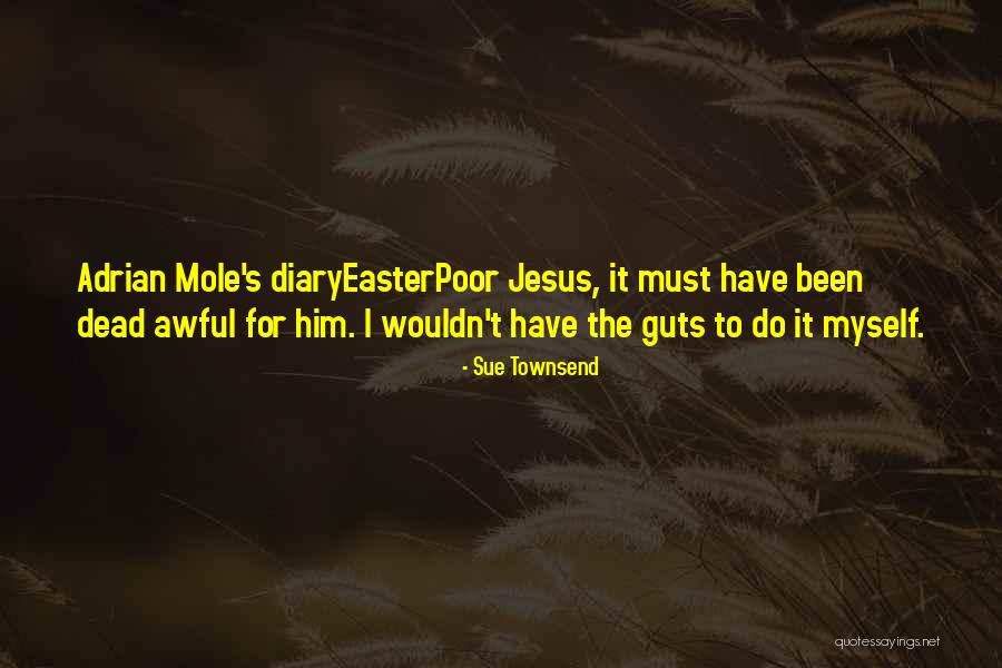 Sue Townsend Quotes 1800432 Sue Townsend Quotes 1800432