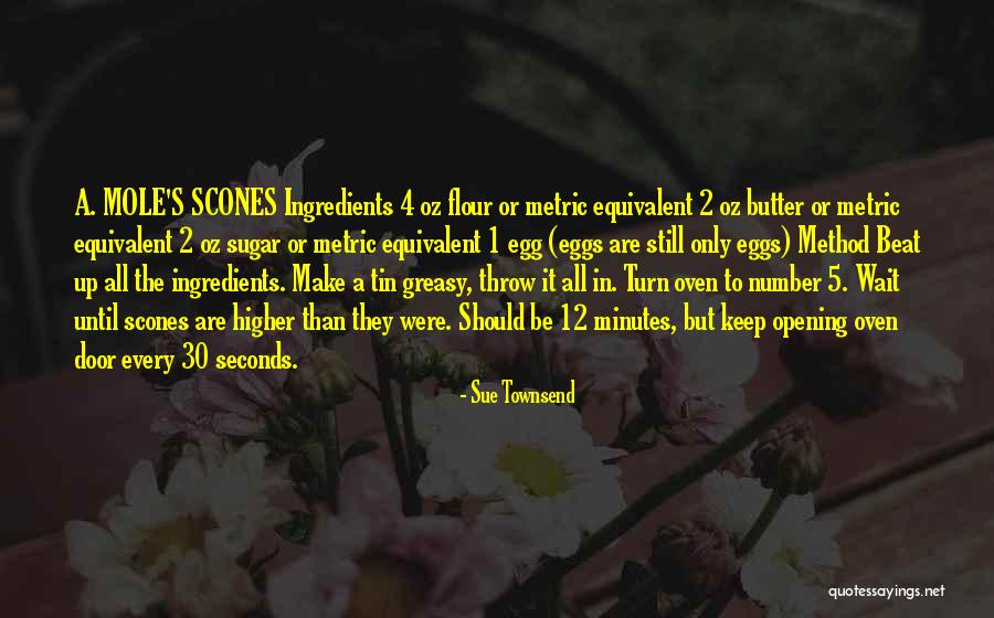 Sue Townsend Quotes 185516 Sue Townsend Quotes 185516