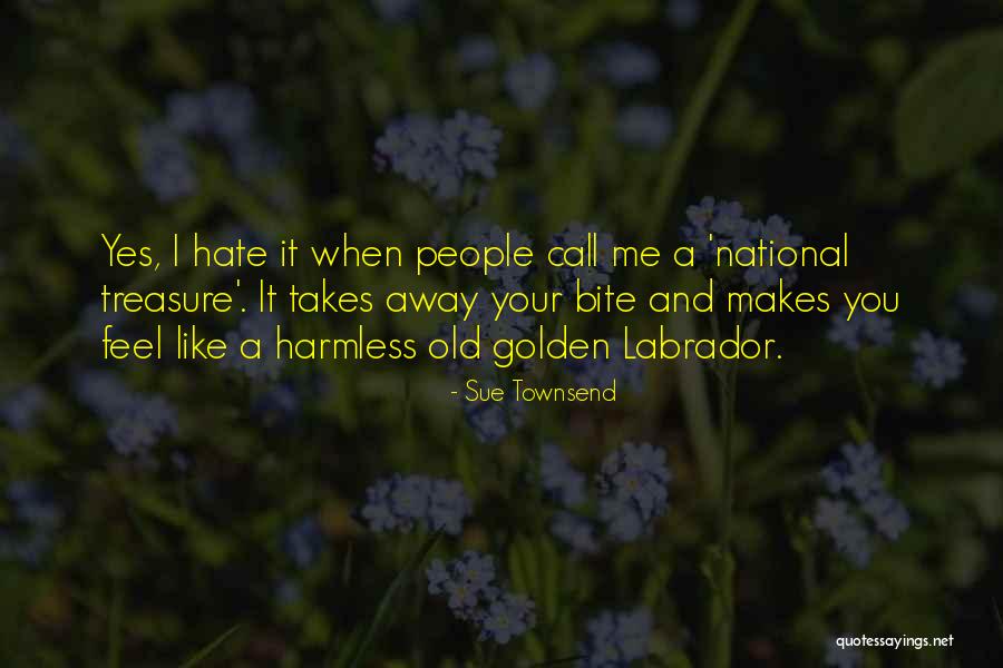 Sue Townsend Quotes 2125354 Sue Townsend Quotes 2125354