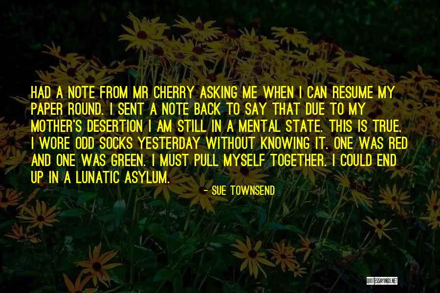 Sue Townsend Quotes 2203476 Sue Townsend Quotes 2203476