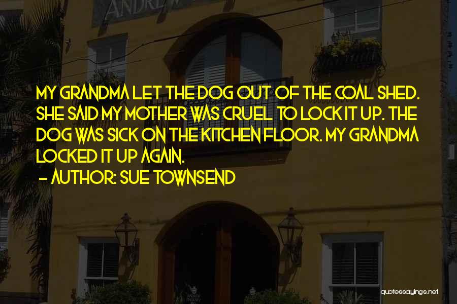 Sue Townsend Quotes 673334