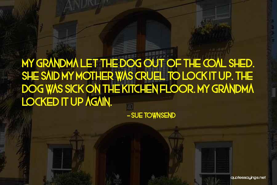 Sue Townsend Quotes 673334