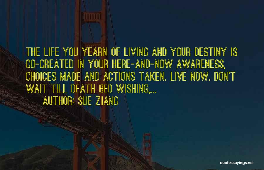 Sue Ziang Quotes 1797990