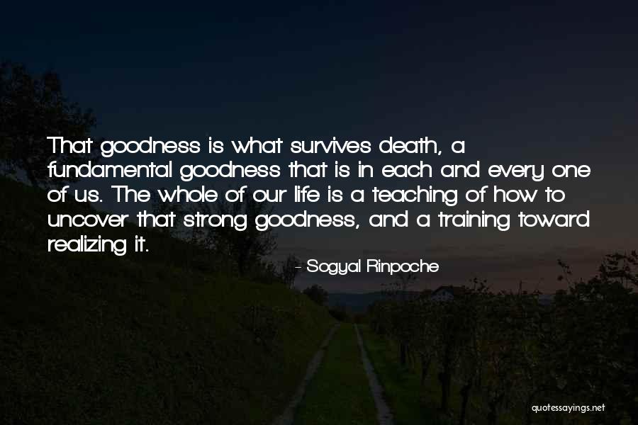 Sueldo Basico Quotes By Sogyal Rinpoche Sueldo Basico Quotes By Sogyal Rinpoche