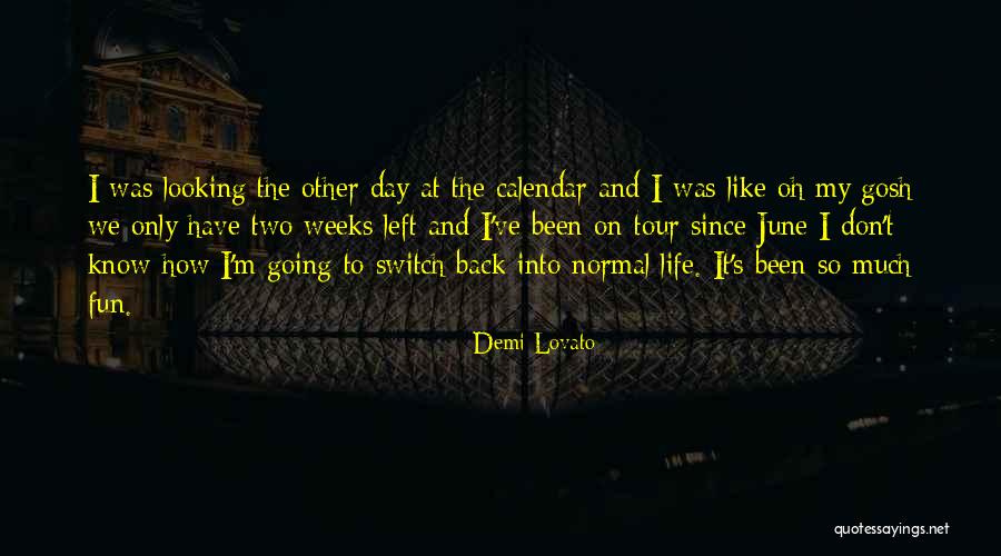 Suelem Da Quotes By Demi Lovato Suelem Da Quotes By Demi Lovato