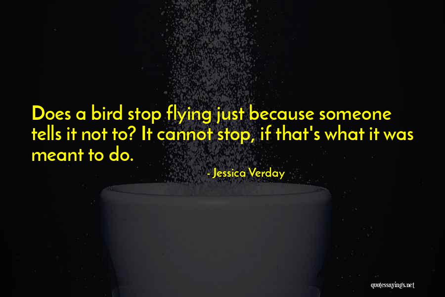 Suellyn Quotes By Jessica Verday Suellyn Quotes By Jessica Verday