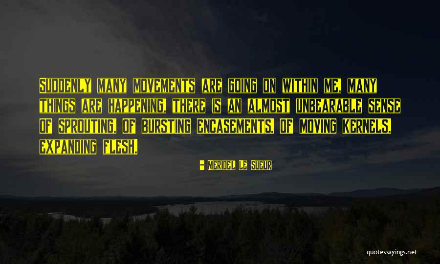 Sueur Quotes By Meridel Le Sueur Sueur Quotes By Meridel Le Sueur