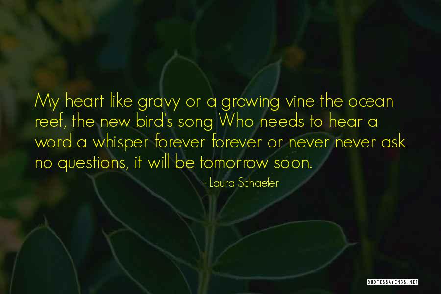 Suffell Quotes By Laura Schaefer Suffell Quotes By Laura Schaefer