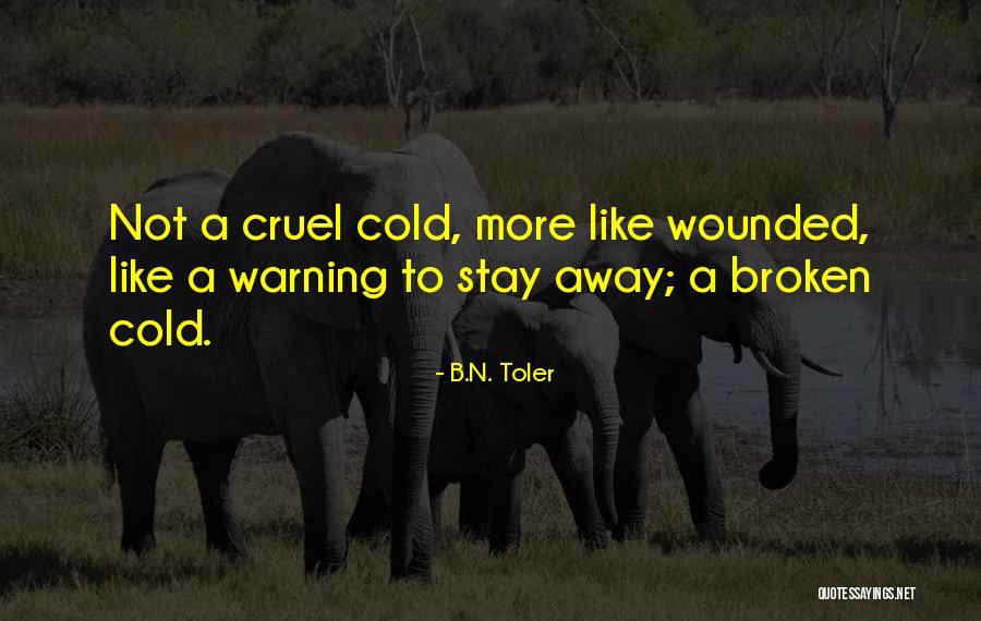 Suffer From Migraines Quotes By B.N. Toler Suffer From Migraines Quotes By B.N. Toler