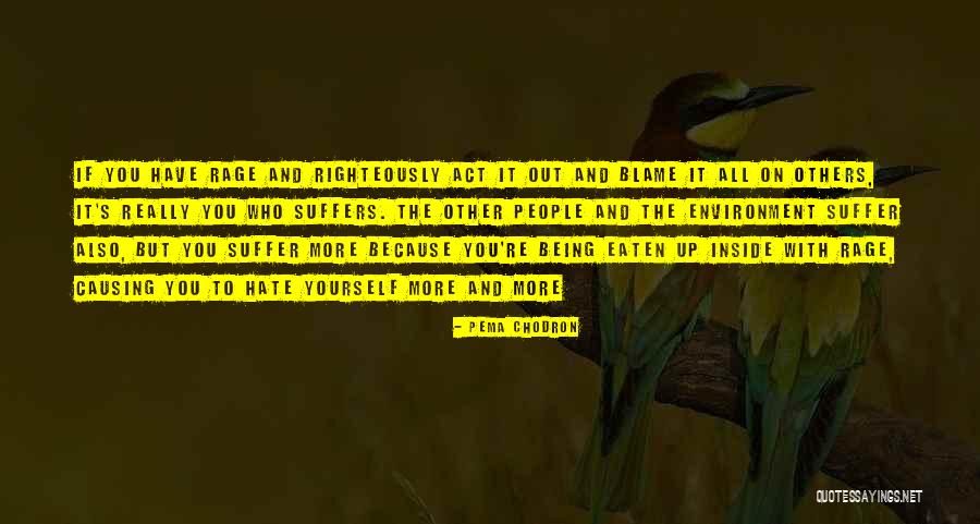 Suffer Inside Quotes By Pema Chodron Suffer Inside Quotes By Pema Chodron