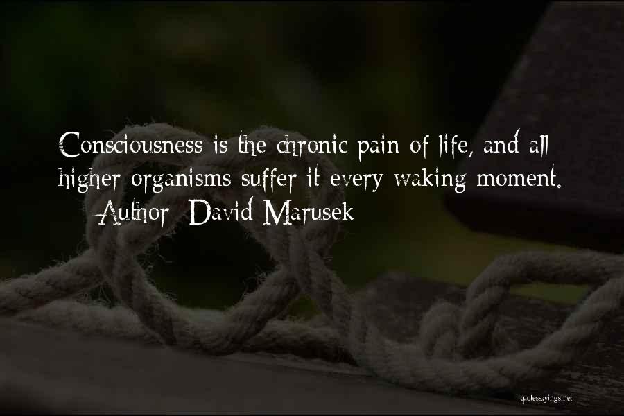 Suffer Pain Quotes By David Marusek