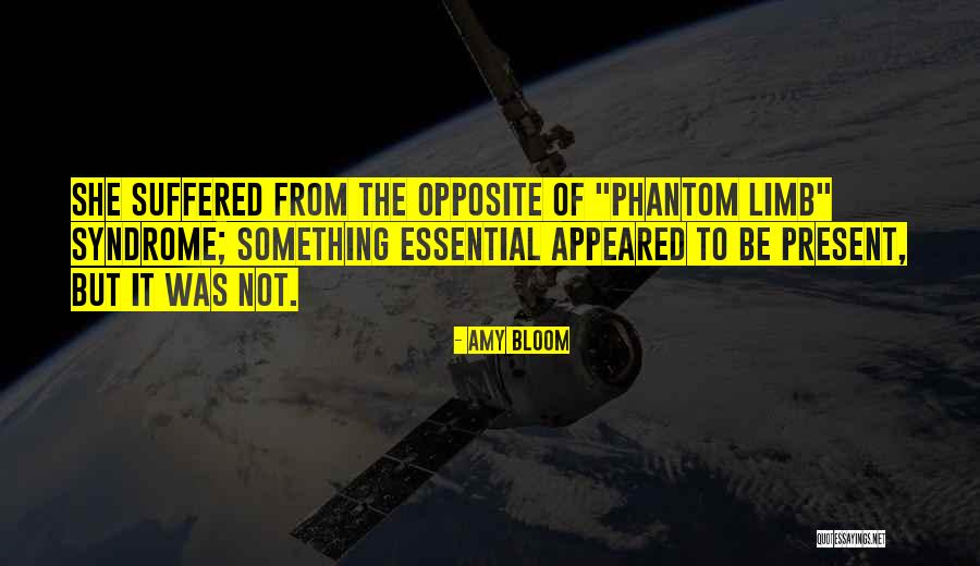 Suffered From Quotes By Amy Bloom Suffered From Quotes By Amy Bloom