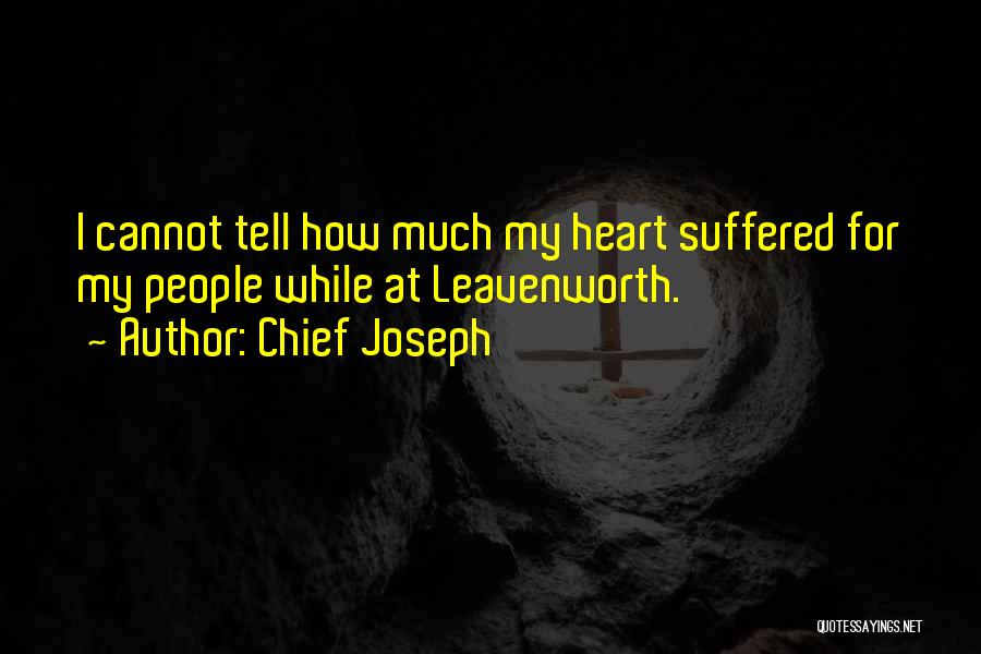 Suffered Quotes By Chief Joseph