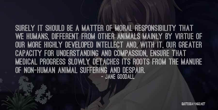 Suffering A Quotes By Jane Goodall Suffering A Quotes By Jane Goodall