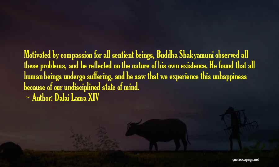 Suffering And Compassion Quotes By Dalai Lama XIV
