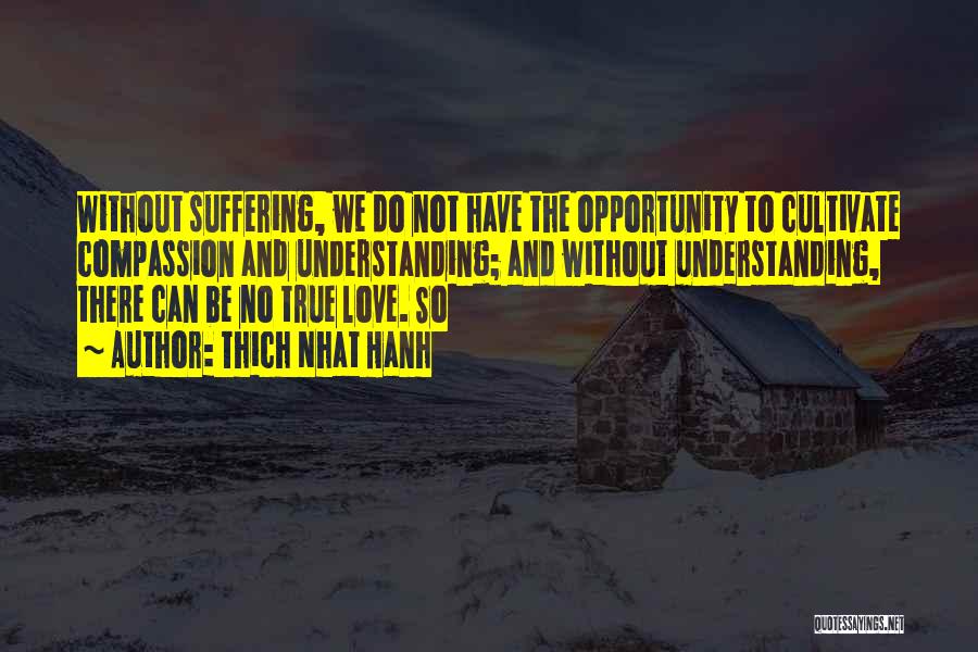 Suffering And Compassion Quotes By Thich Nhat Hanh